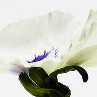 AGUA DROP  100ml-218692 AGUA DROP  100ml-218692 2